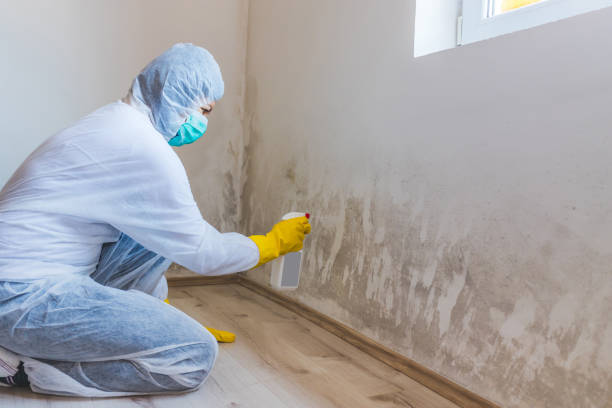 Hvac And Air Duct Mold Remediation inspection of HVAC system in Airville